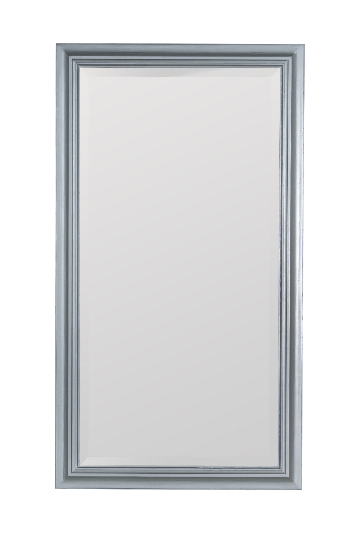 Tyra Molded Frame Medicine Cabinet, Surface or Recessed in Silver, product view 1